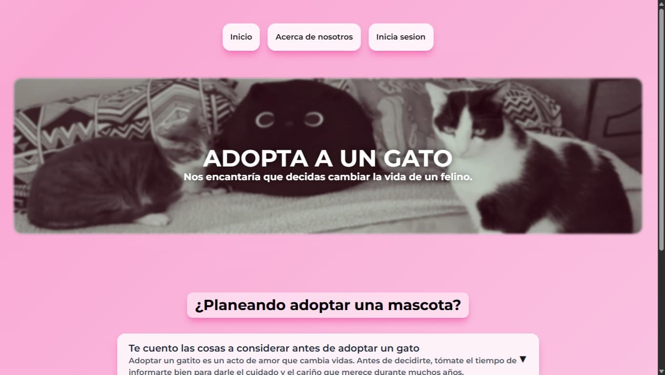 Imagen del proyecto 🐾 Adopta un gato